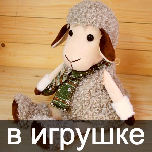v-igrushke