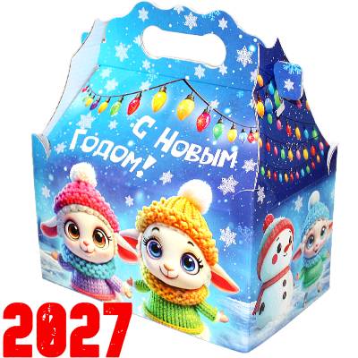 Подарок от Деда Мороза со сладостями детям на Новый Год 2027